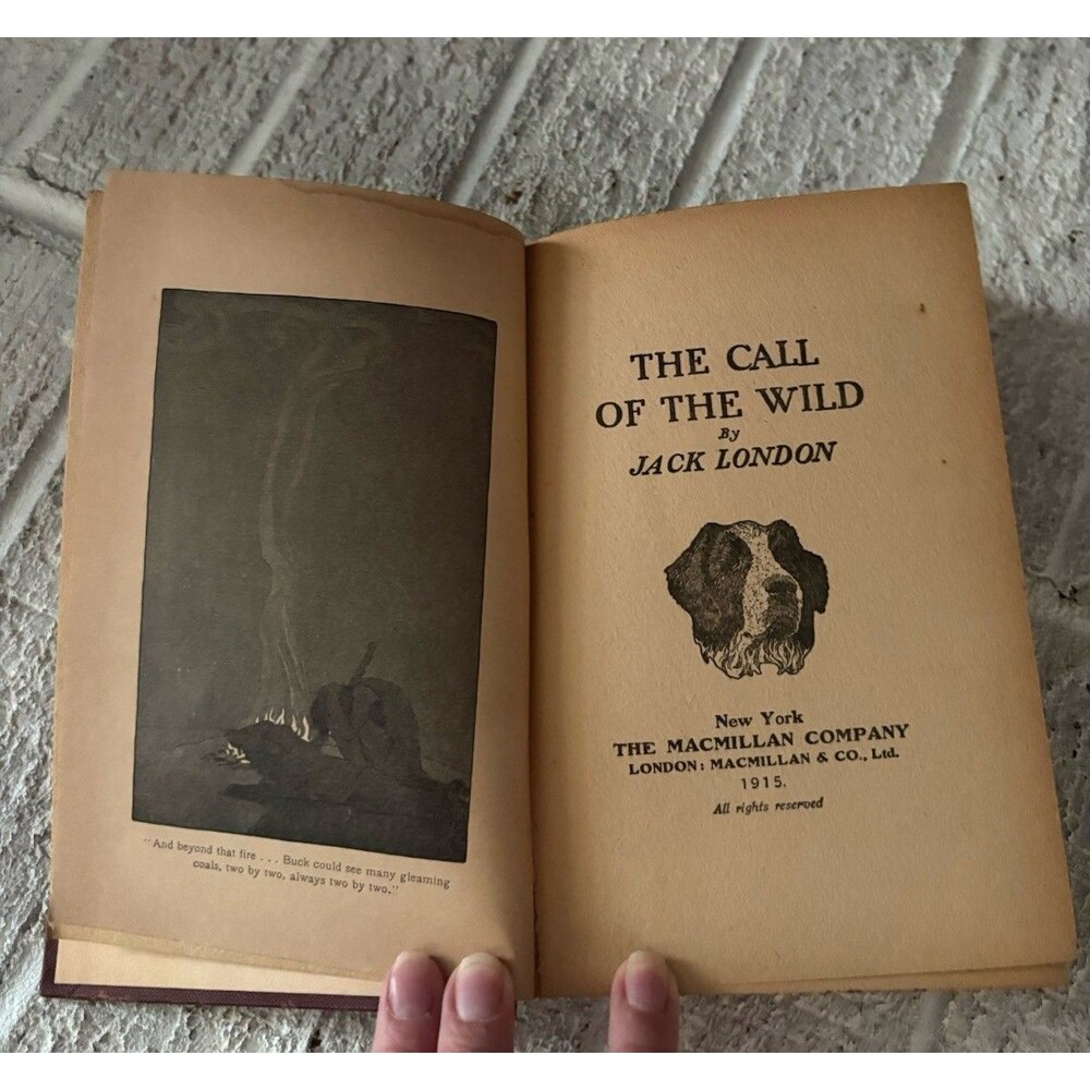Antique Classic The Call of the Wild Jack London 1915 Hardcover Illustrated Book - Picture 10 of 12